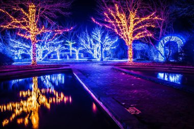 Noel sezon ışıkları ve süslemeleri daniel stowe belmont ncac bahçeleri.