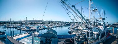 sahne bahar Kaliforniya'da monterey bay çevresinde