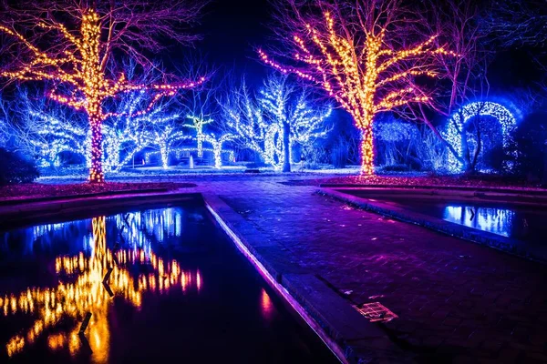 Boże Narodzenie Sezon Światła Dekoracji Daniel Stowe Gardens Belmont Jakoêci — Zdjęcie stockowe