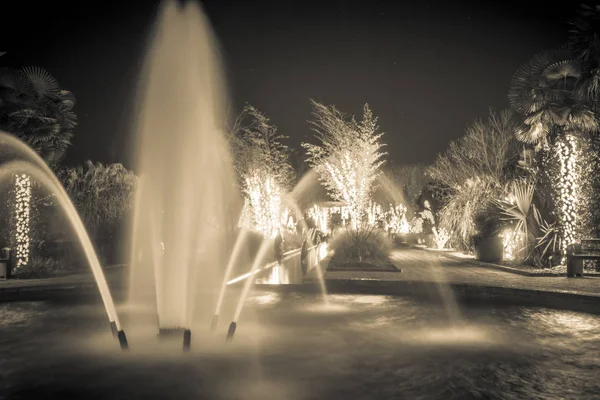 Christmas Season Lights Decorations Daniel Stowe Gardens Belmont Ncac — Stock Photo, Image