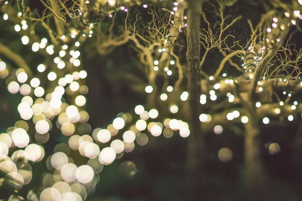 Boże Narodzenie Sezon Decorationsafter Sunset Gardens — Zdjęcie stockowe