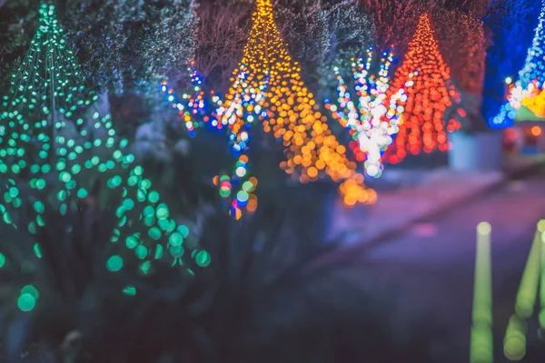 Noel Sezon Decorationsafter Günbatımı Gardens — Stok fotoğraf