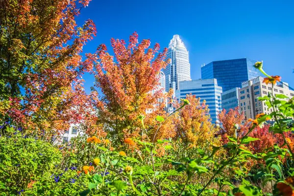 Época Aututmn Charlotte Carolina Norte — Fotografia de Stock