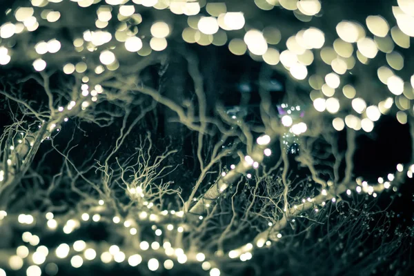 Decoraciones Temporada Navidad Después Del Atardecer Los Jardines — Foto de Stock
