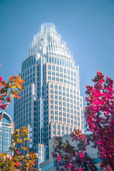 Aututmn Säsong Charlotte North Carolina — Stockfoto