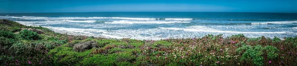 Tichý Oceán Big Sur Coatal Pláže Krajiny — Stock fotografie