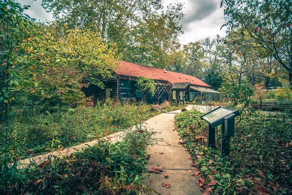 Herfst Seizoen Rond Aheville North Carolina — Stockfoto