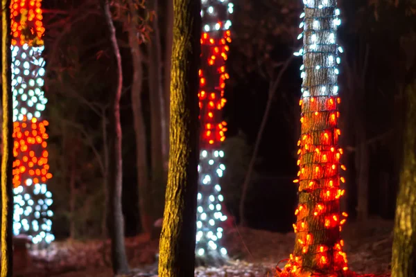 Weihnachtsdekoration Und Lichter Gärten — Stockfoto