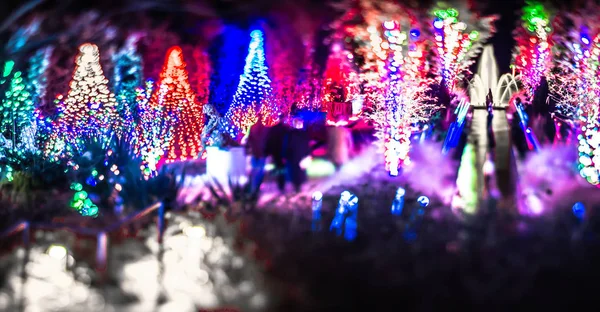 圣诞灯散在丹尼尔 斯托花园贝尔蒙特北卡罗来纳 — 图库照片