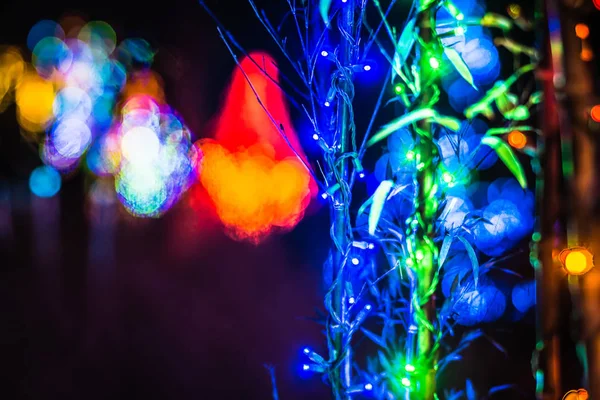 圣诞季节的装饰和花园的灯光 — 图库照片