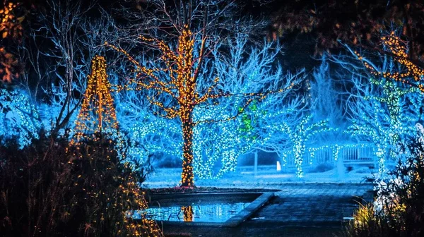 Natal Temporada Decorações Luzes Jardins — Fotografia de Stock