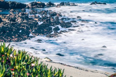 Batı ABD Pacific coast California