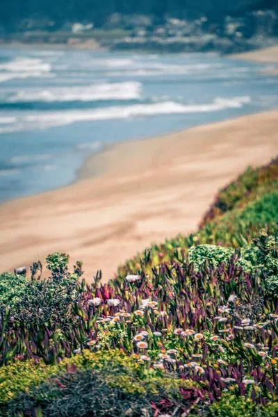 Western USA Pacific coast in California