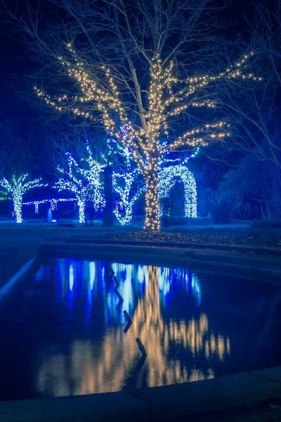 Lumières Saison Noël Décorations Daniel Stowe Jardins Belmont Ncac — Photo