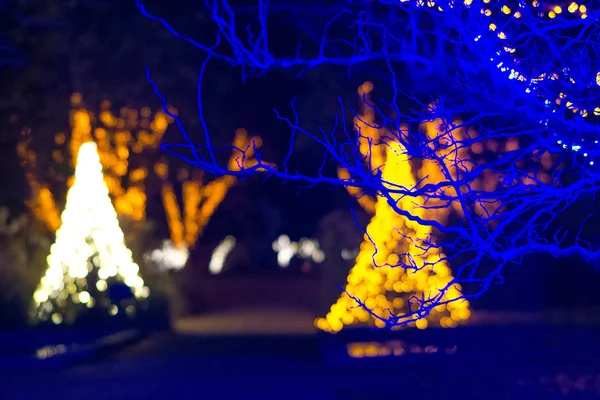 Рождественские украшения и огни в садах — стоковое фото