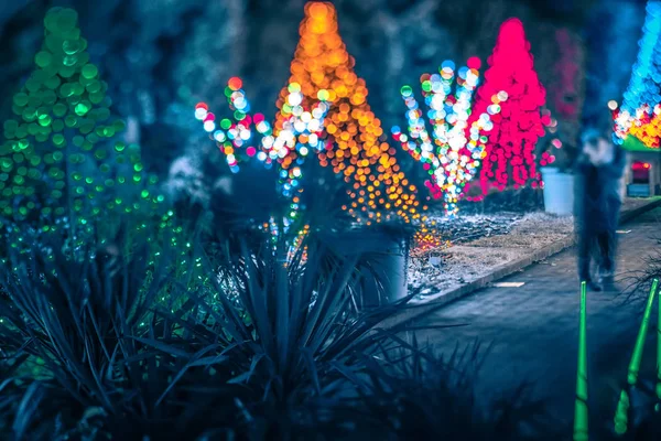 Noel sezon decorationsafter günbatımı Gardens — Stok fotoğraf