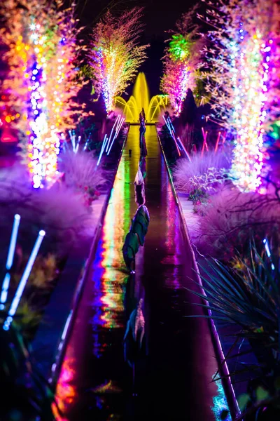 Décorations de la saison de Noël après le coucher du soleil dans les jardins — Photo