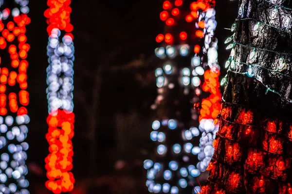 Décorations de Noël et lumières dans les jardins — Photo