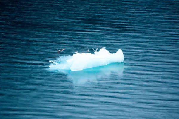 Blå isberg och is bitar i vatten i närheten Alaska — Stockfoto