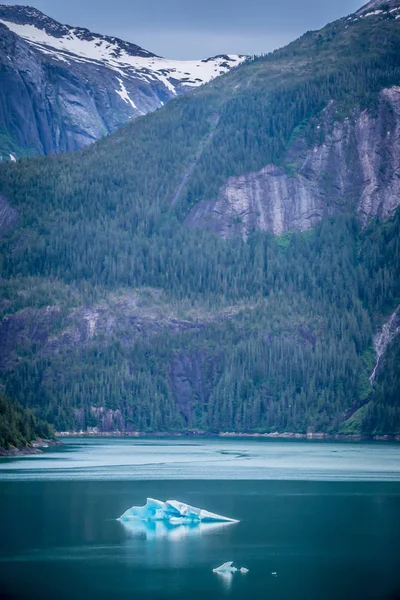 Vackert landskap i alaska berg — Stockfoto