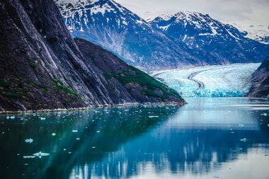 Sawyer Glacier Tracy kol fiyort Alaska adlı panhandle
