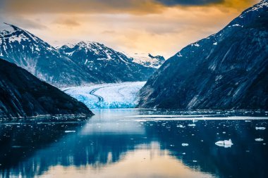Sawyer Glacier Tracy kol fiyort Alaska adlı panhandle