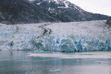  tracy kol fiyort ucundaki muhteşem sawyer Buzulu