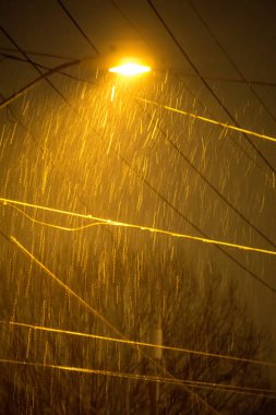 charlotte şehir sokaklarını Kuzey Carolina'da çevresinde nadir Kışlıklar mix