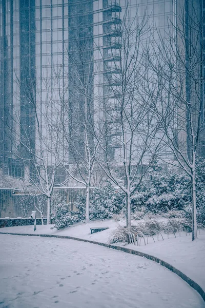 Seltene winterliche Mischung rund um charlotte city streets in north carolina — Stockfoto