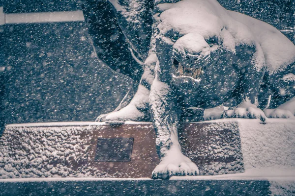 Zeldzame winterse mix rond de straten van de stad van charlotte in Noord-carolina — Stockfoto
