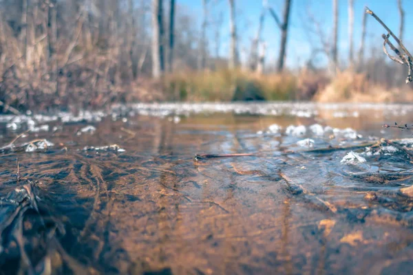 Charco o arroyo y hielo derretiéndose en un día soleado —  Fotos de Stock
