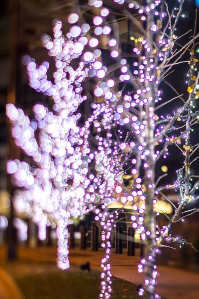 Navidad luces decoraciones navideñas alrededor de Charlotte North caro — Foto de Stock