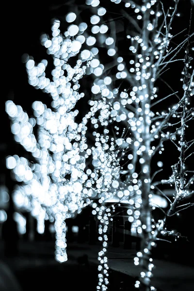 Tatil dekorasyon charlotte Kuzey caro etrafında Noel ışıkları — Stok fotoğraf