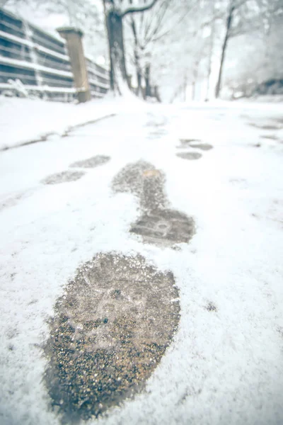 Показать следы в снегу на тротуаре вдоль парка — стоковое фото