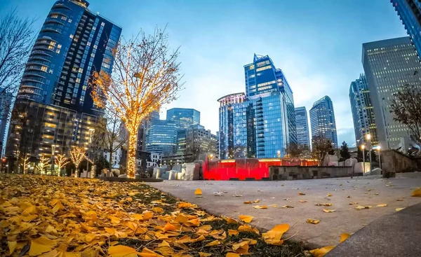 Early morning in charlotte nc near romare bearden park — Stock Photo, Image