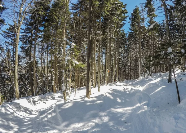 Bella giornata di sole sulle pendici della montagna ciaspole in cass west — Foto Stock