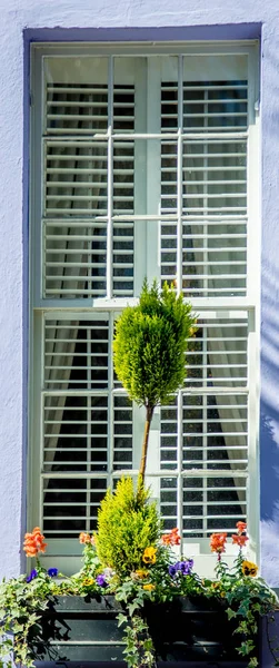 Historische charleston, south carolina en centrum landschap — Stockfoto