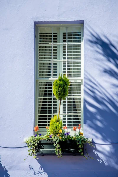 Historische charleston, south carolina en centrum landschap — Stockfoto