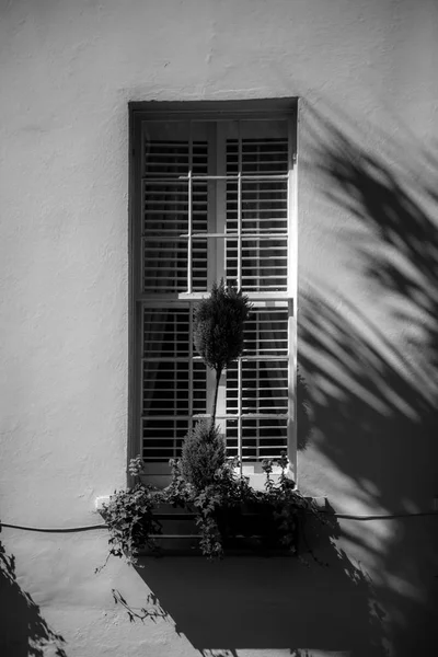 Historischen Charleston South Carolina Innenstadt Landschaft — Stockfoto