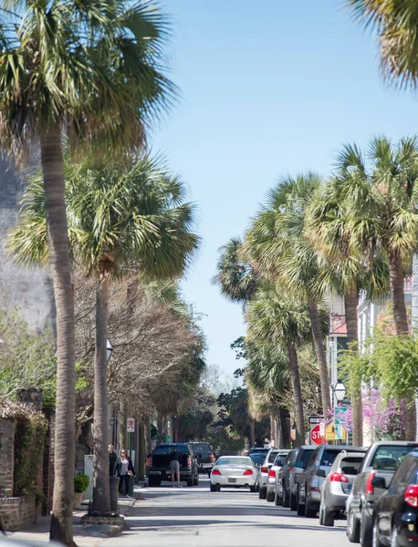 Tarihi charleston Güney carolina şehir merkezinde ve architetural det — Stok fotoğraf