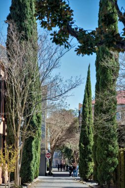 tarihi charleston Güney carolina şehir merkezinde sahne