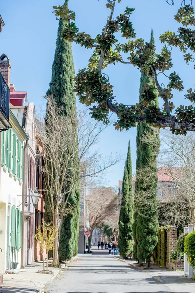 Historische charleston, south carolina en centrum landschap — Stockfoto