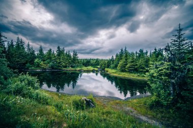 sahne etrafında mendenhall Buzulu park juneau Alaska