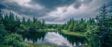 sahne etrafında mendenhall Buzulu park juneau Alaska