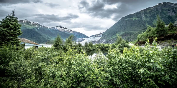 Paisagem em torno do parque glaciar mendenhall em juneau alaska — Fotografia de Stock