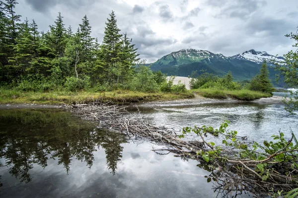 Krajina kolem mendenhall ledovec park v Aljašky juneau — Stock fotografie