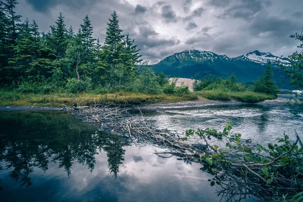 Paesaggio intorno al parco ghiacciaio mendenhall in juneau alaska — Foto Stock