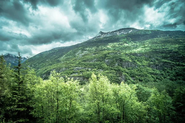 Belas montanhas rochosas em junho em whitepass perto skagway alas — Fotografia de Stock