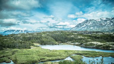 sağlam ve aşırı arazi fraser british columbia ve wh çevresinde