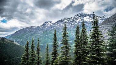 Beyaz Pass ve Yukon güzergah üzerinde büyük lan üzerinden geçen tren